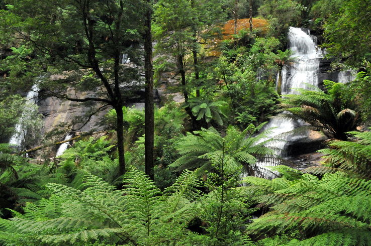 Great Otway National Park Trip Packages