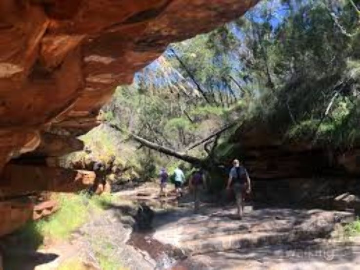 Alligator Gorge Trip Packages