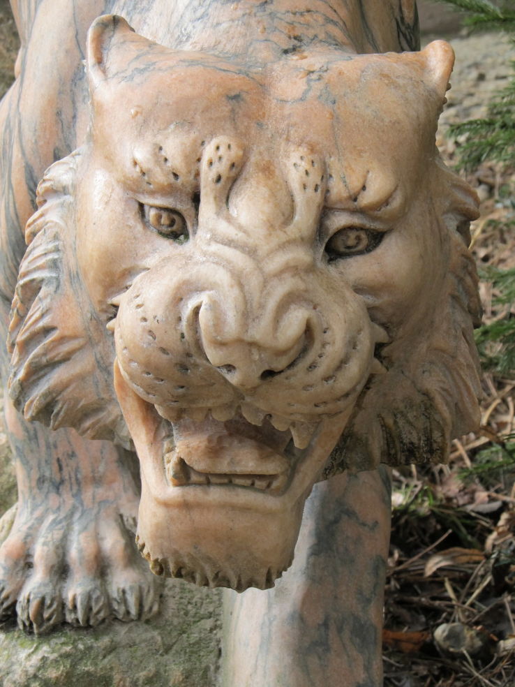 Olmen Zoo Trip Packages Olmen Zoo Trip Packages