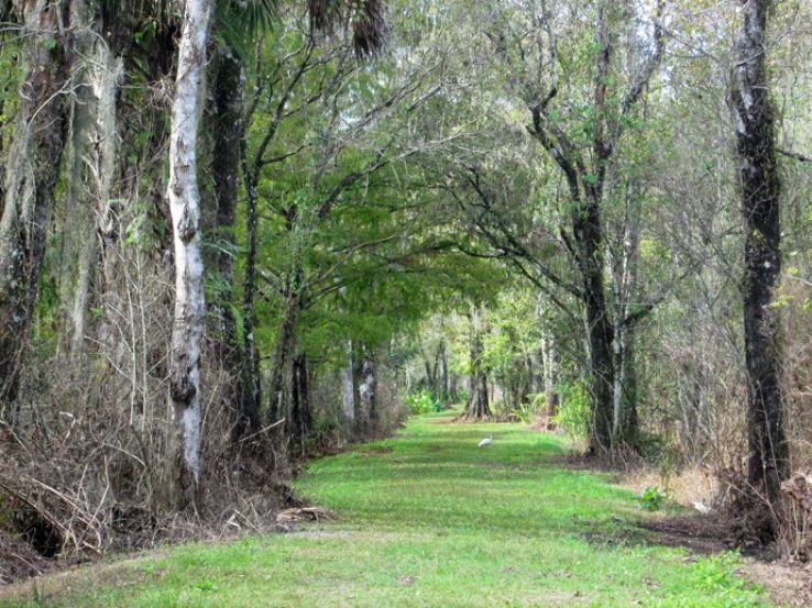 Naples Trip Packages