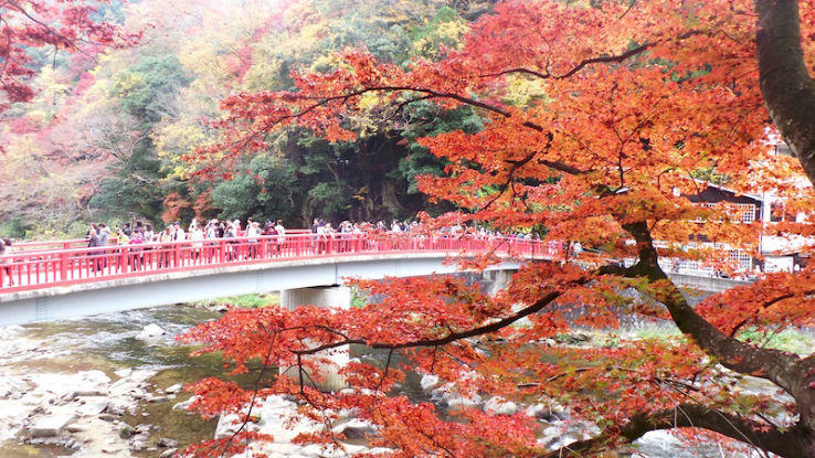 Kosekiji Trip Packages