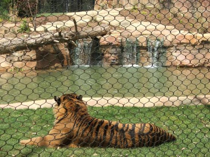 The Jackson Zoo Trip Packages