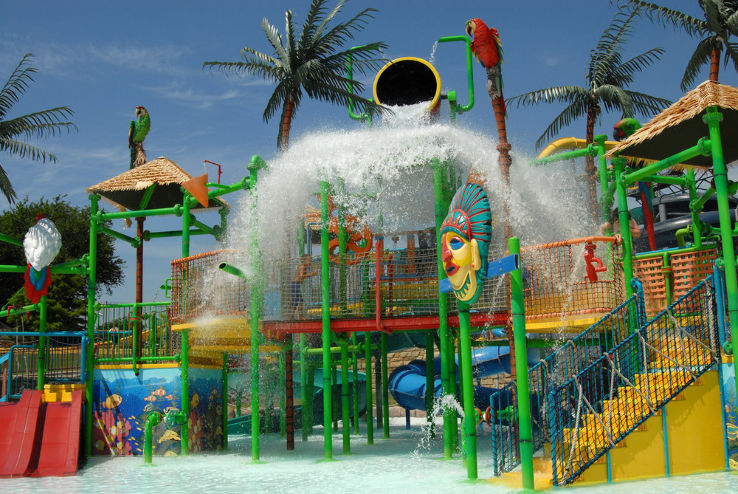 Hawaiian Falls Waterpark Trip Packages