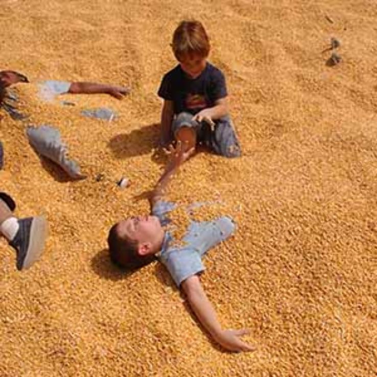 Denver Downs Farm Trip Packages