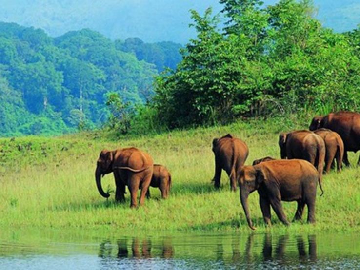 Koyna Wildlife Sanctuary Trip Packages
