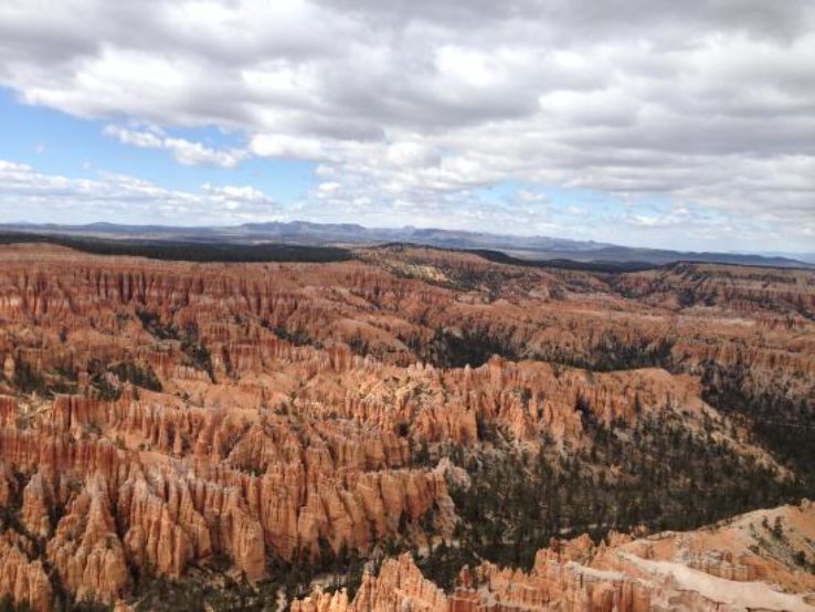 Tropic Trip Packages