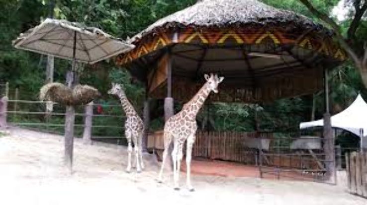 Emperor Valley Zoo: Port-of-Spain Trip Packages