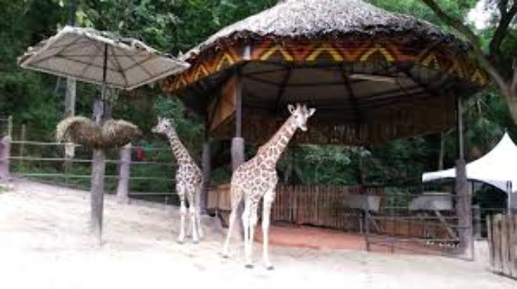 Pleasurable 2 Days Spain Trip Package