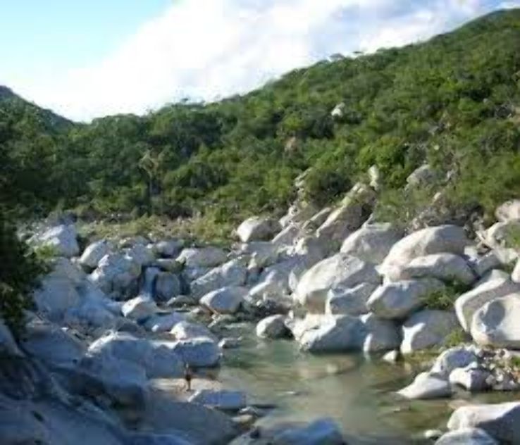 Sierra de la Laguna Biosphere Reserve Trip Packages