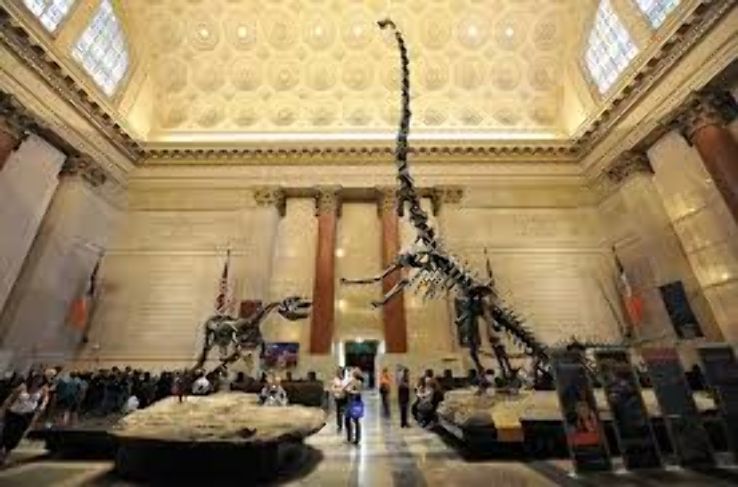American Museum of Natural History Trip Packages