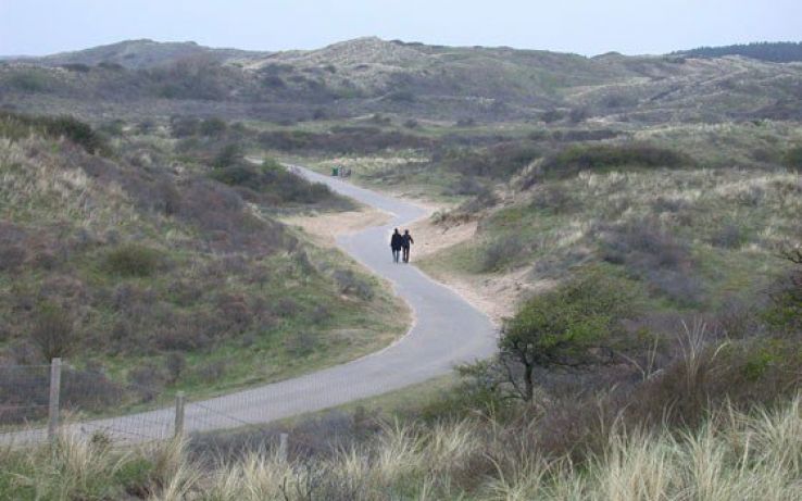 Zuid Kennemerland National Park Trip Packages