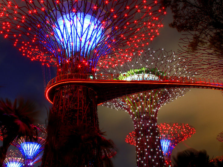 Super Tree Grove Trip Packages