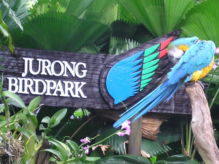 Jurong Bird Park Trip Packages