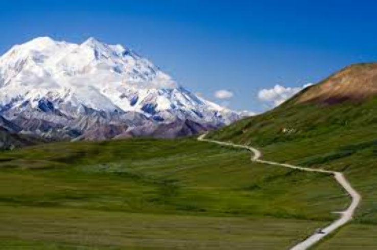 Denali Trip Packages