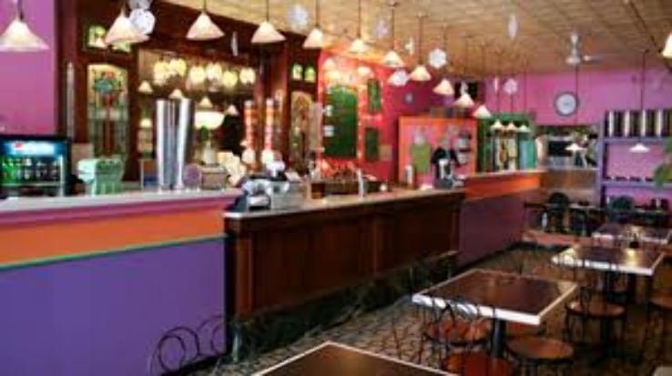 Ivanna Cone Trip Packages