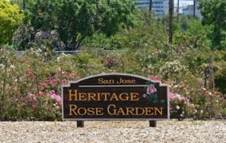 Heritage Rose Garden Trip Packages