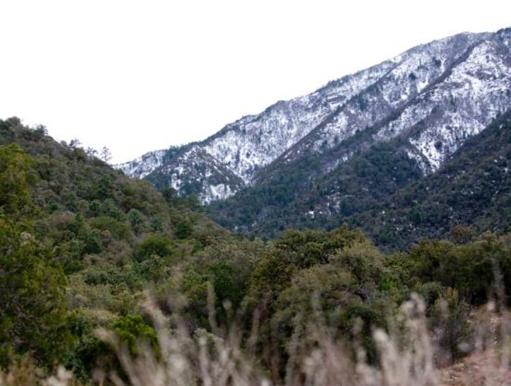 Mount Wrightson-Coronado National Forest Trip Packages