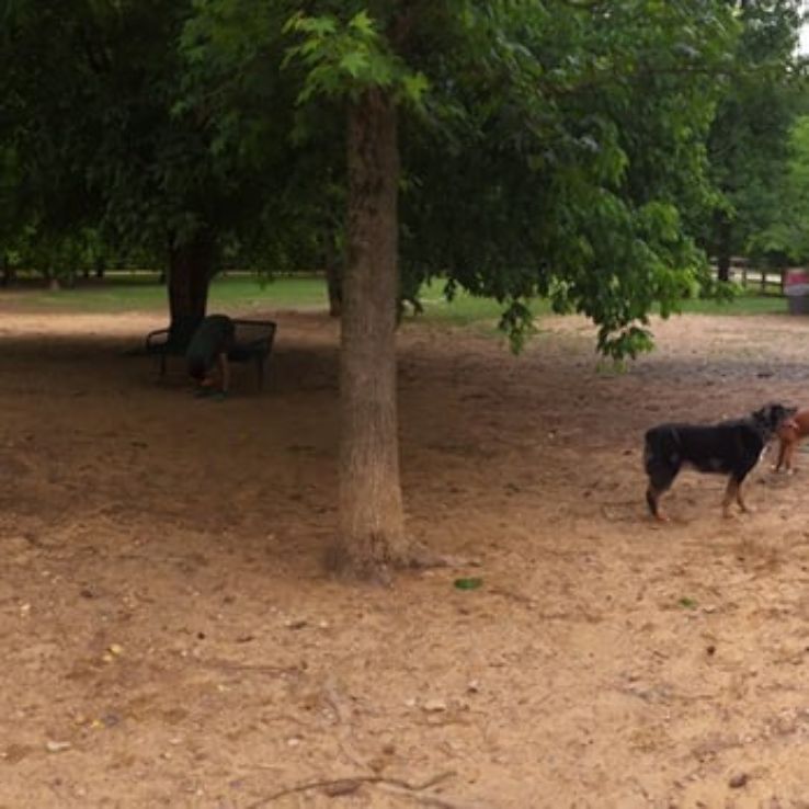 Treat Your Dog At Loch Haven Dog Park Trip Packages