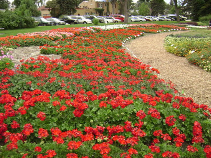 Annual Flower Trial Garden Trip Packages