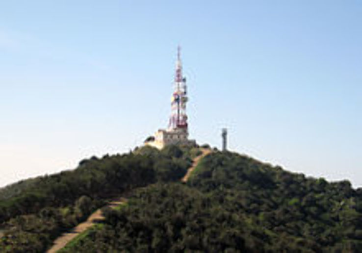 Sierra de Collserola Trip Packages