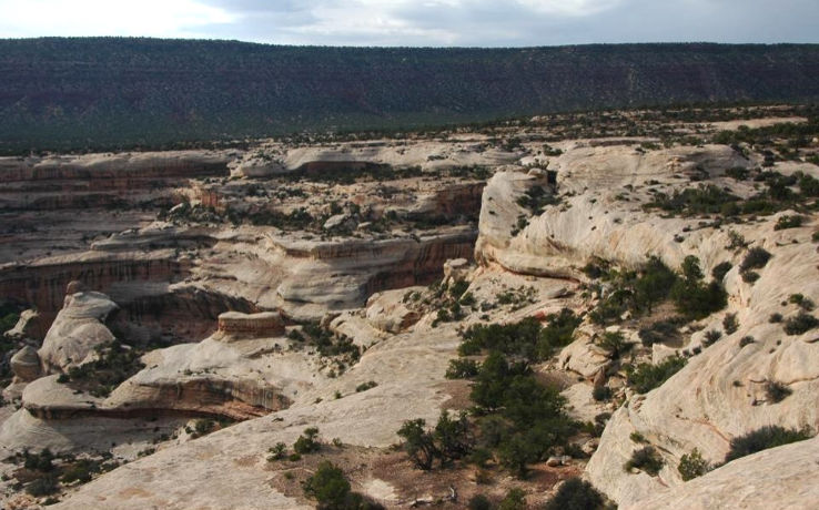 Natural Bridges National Monument Trip Packages