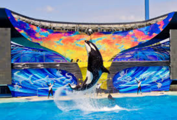 SeaWorld Trip Packages