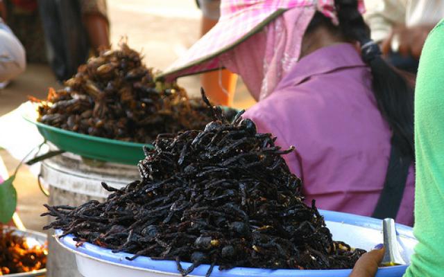 Taste the Spiders at the Spider Market of Skuon Trip Packages