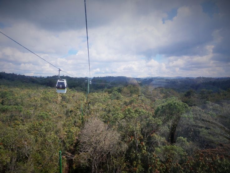 Arvi Park Trip Packages