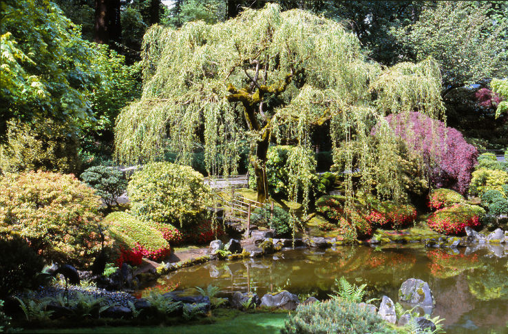 Portland Japanese Garden  Trip Packages