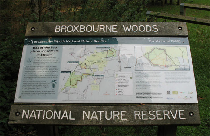 Broxbourne Woods Trip Packages