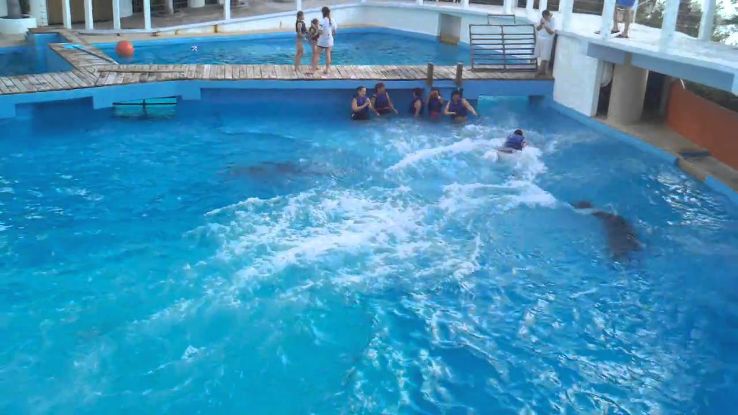 Cancun Interactive Aquarium Trip Packages