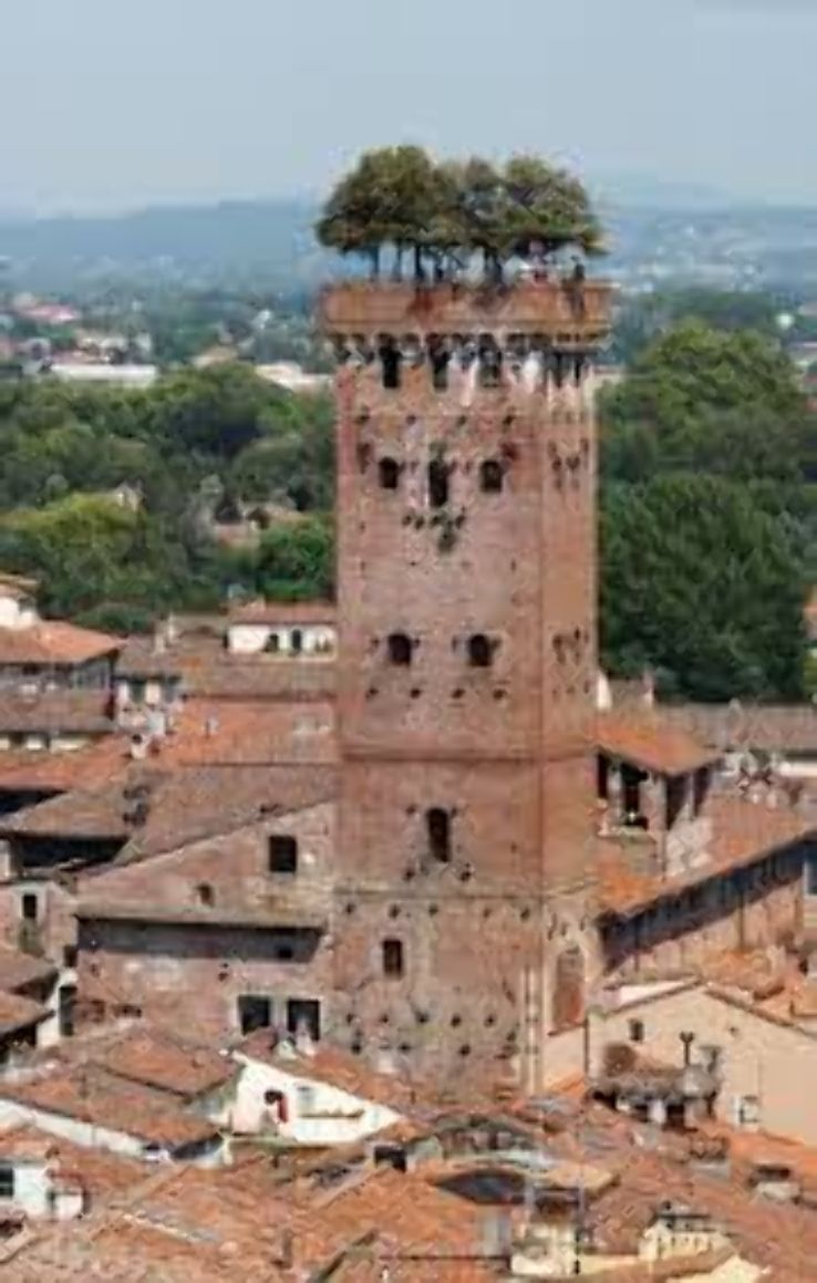Torre Guinigi Trip Packages