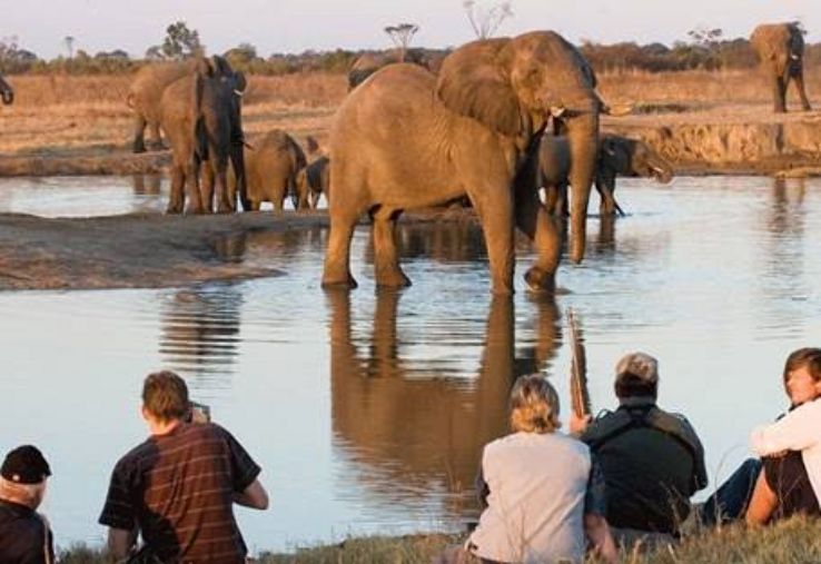 Hwange National Park Trip Packages