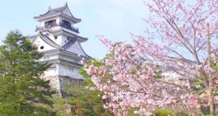 Kochi Castle Trip Packages