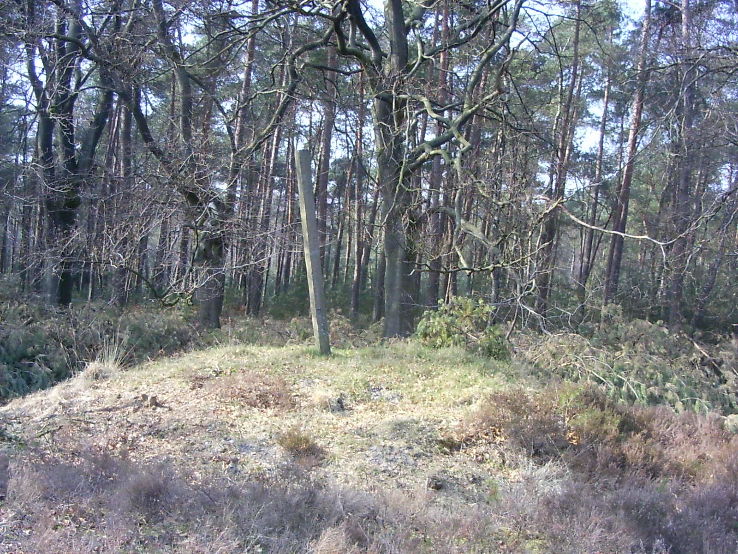 Planks Wambuis Trip Packages