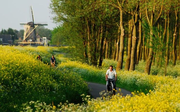 Delft Bicycle Itinerary Trip Packages