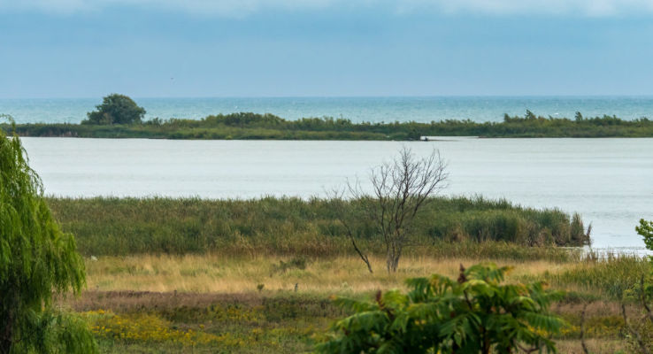 McLaughlin Bay Wildlife Reserve Trip Packages