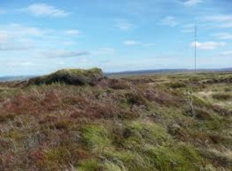 Great Hill Trip Packages