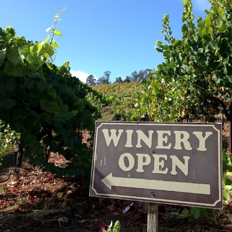 Enjoy wine tasting Trip Packages