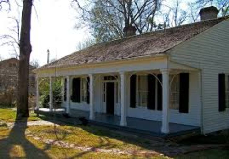 Jackson Trip Packages