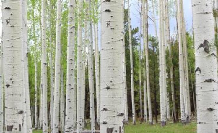 Grottos Trail Trip Packages