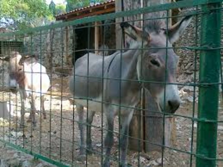 Split Science Museum and Zoo Trip Packages