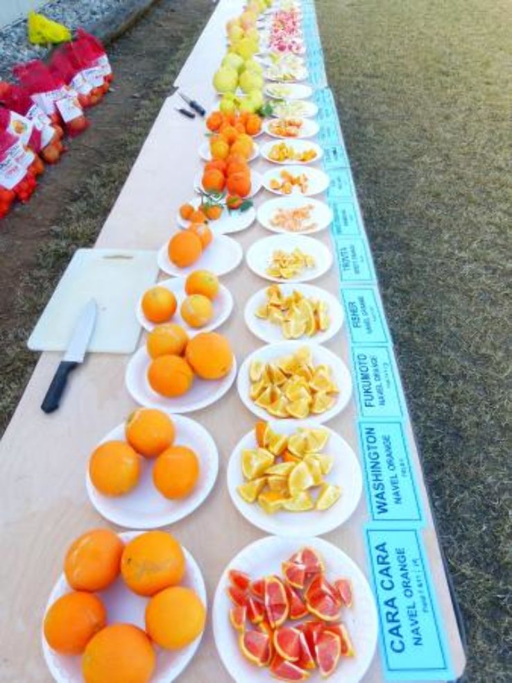 Surprise Trip Packages