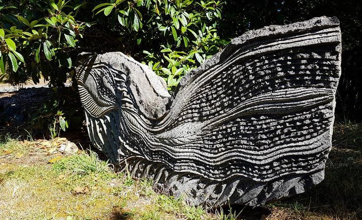 Waitakaruru Arboretum & Sculpture Park  Trip Packages