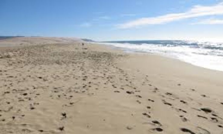 Rancho Guadalupe Dunes Preserve Trip Packages