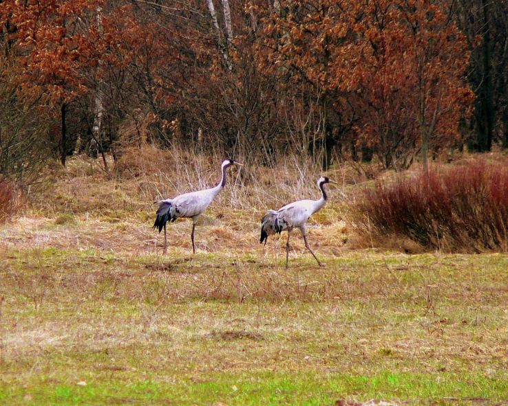 Ecstatic 4 Days Warsaw Nature Tour Package