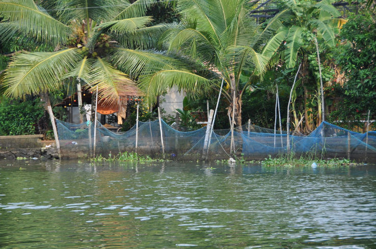 Backwaters Trip Packages