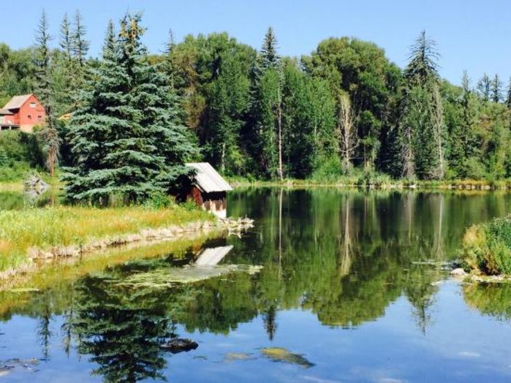 Center for Environmental Studies Trip Packages