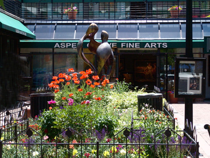 Aspen Grove Fine Arts Trip Packages