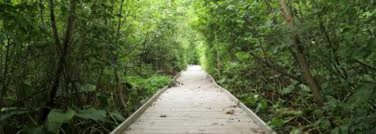 Jackson Bog State Nature Preserve Trip Packages